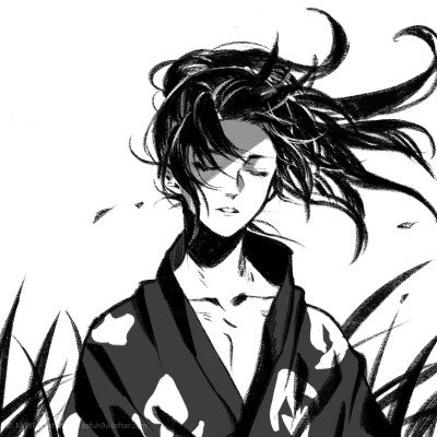 主角官微转了辛芷蕾评论